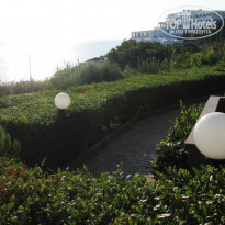 фото из отзыва ID 1063724