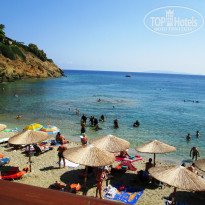 фото из отзыва ID 1063724