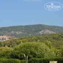 фото из отзыва ID 1063818