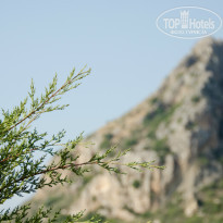 фото из отзыва ID 1063901