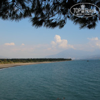 фото из отзыва ID 1063924