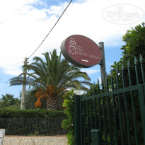 фото из отзыва ID 1064076