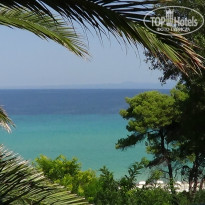 фото из отзыва ID 1064181