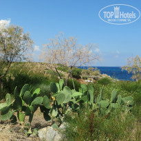 фото из отзыва ID 1064003