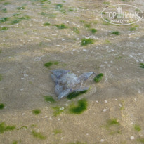 фото из отзыва ID 1064307