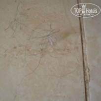 фото из отзыва ID 1064470