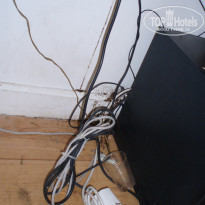 фото из отзыва ID 1064470