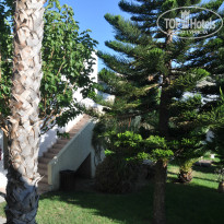 фото из отзыва ID 1064527