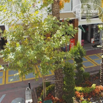 фото из отзыва ID 1064427