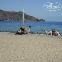 фото из отзыва ID 1064558