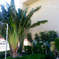 фото из отзыва ID 1064639