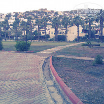 фото из отзыва ID 1065119