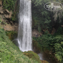 фото из отзыва ID 1065313