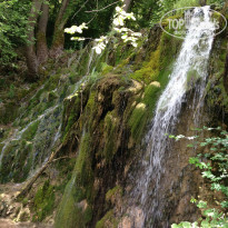 фото из отзыва ID 1065313