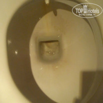 фото из отзыва ID 1065338