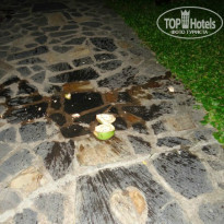 фото из отзыва ID 1065370