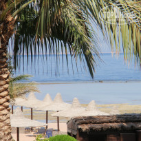 фото из отзыва ID 1065379