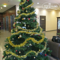 фото из отзыва ID 1065381