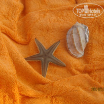 фото из отзыва ID 1065662