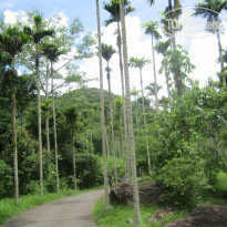 фото из отзыва ID 1065662