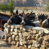 фото из отзыва ID 1066106