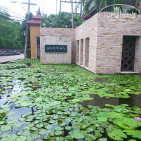 фото из отзыва ID 1066113