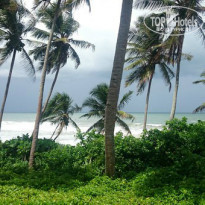 фото из отзыва ID 1066141