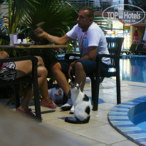 фото из отзыва ID 1066165