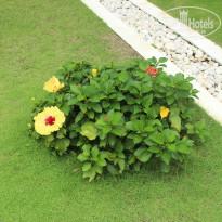 фото из отзыва ID 1066347