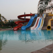 фото из отзыва ID 1066563