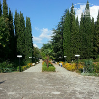 фото из отзыва ID 1066946