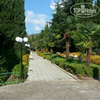 фото из отзыва ID 1066946