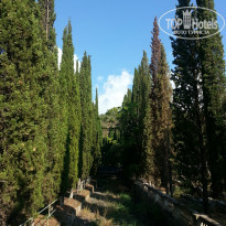 фото из отзыва ID 1066946