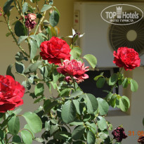 фото из отзыва ID 1066970