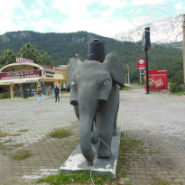 фото из отзыва ID 1067004