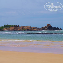 фото из отзыва ID 1067136