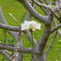 фото из отзыва ID 1067136