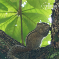 фото из отзыва ID 1067136