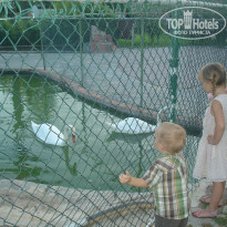 фото из отзыва ID 1067165