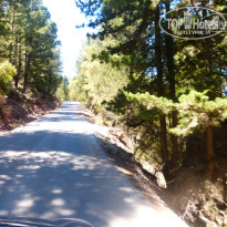 фото из отзыва ID 1067296