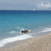 фото из отзыва ID 1067296