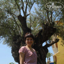 фото из отзыва ID 1067337