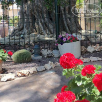 фото из отзыва ID 1067337