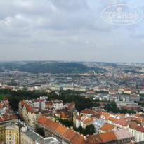 фото из отзыва ID 1067362