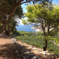 фото из отзыва ID 1067477