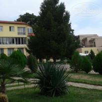 фото из отзыва ID 1064776