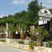 фото из отзыва ID 1064776