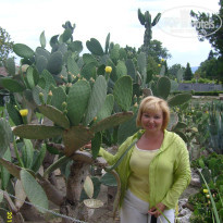 фото из отзыва ID 1064776