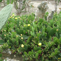 фото из отзыва ID 1064776