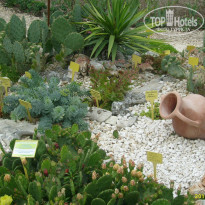 фото из отзыва ID 1064776